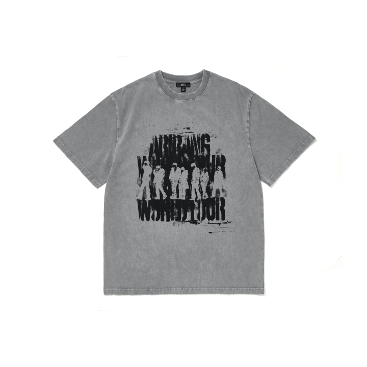 [PREVENTA] BTS S/S Photo T-Shirt (Gray)