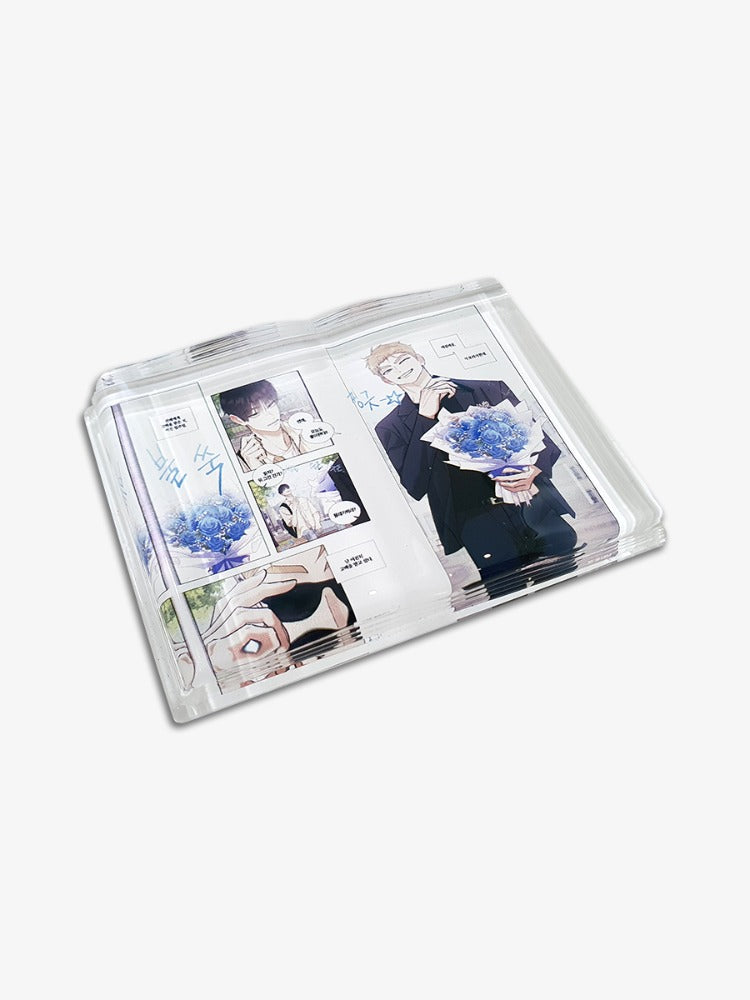 [BAJO PEDIDO] GLASS BOOK WEIGHT