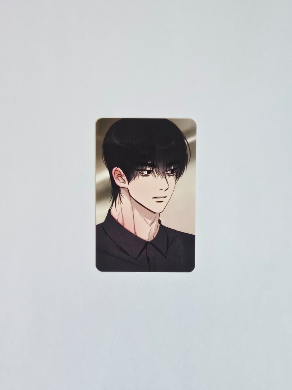 [ENTREGA INMEDIATA] LEZHIN A Collection Photo cards - OPEN COMPANY DAY