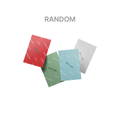 [PREVENTA] The 2nd EP [GREENGREEN] (Weverse Albums ver.) (Random)