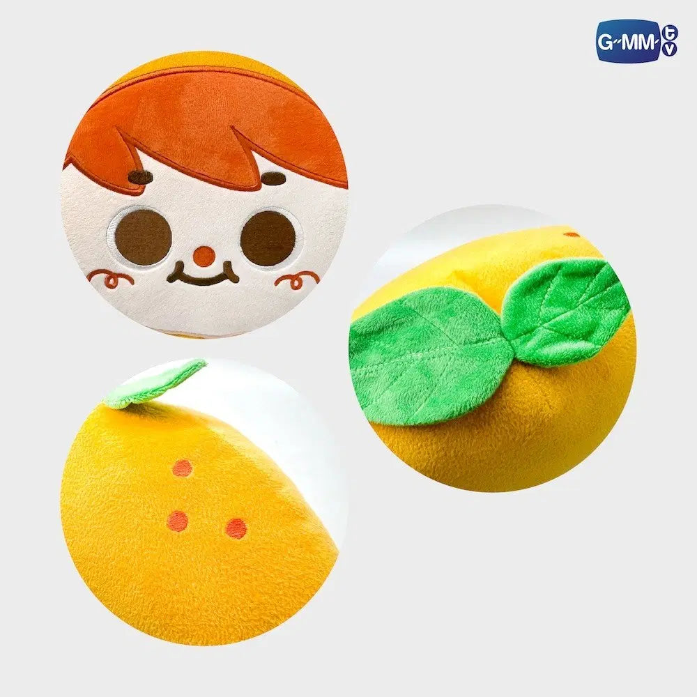 [PREVENTA] ORANGE PILLOW | WHEN ORANGES FALL