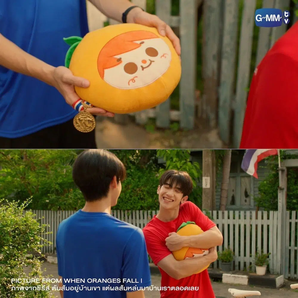 [PREVENTA] ORANGE PILLOW | WHEN ORANGES FALL