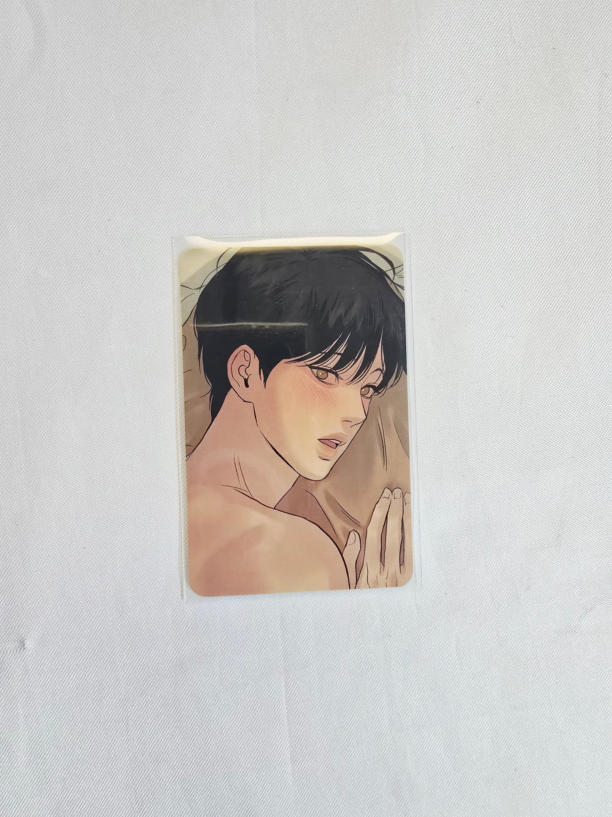[ENTREGA INMEDIATA] PHOTOCARD COLLECTION PAINTER OF THE NIGHT